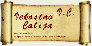 Vekoslav Čalija vizit kartica